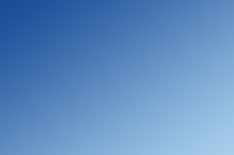企业愿景